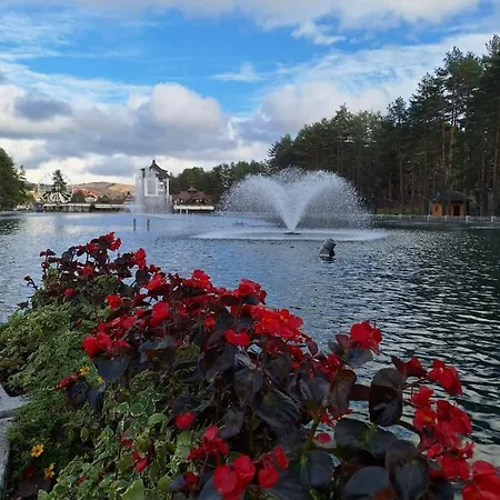 아파트 Cvetkovic, Elsa Iii