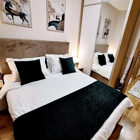 Cvetkovic, Elsa Iii *