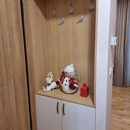 Cvetkovic, Elsa Iii * 즐라티보